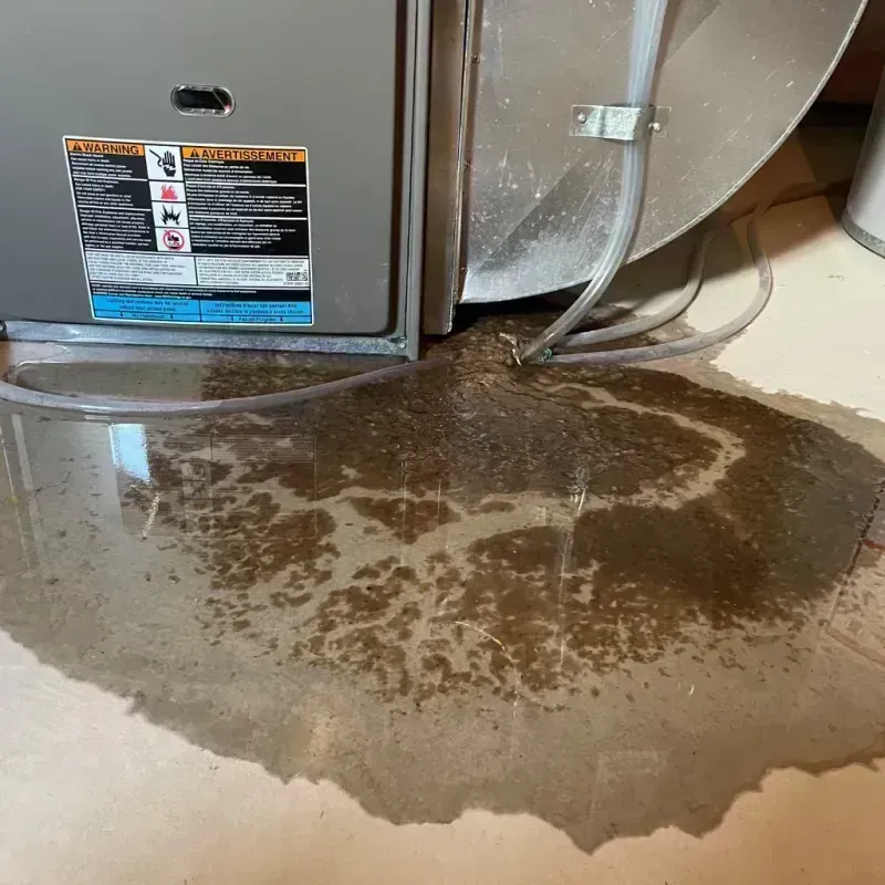 Appliance Leak Cleanup in Morgantown, MS